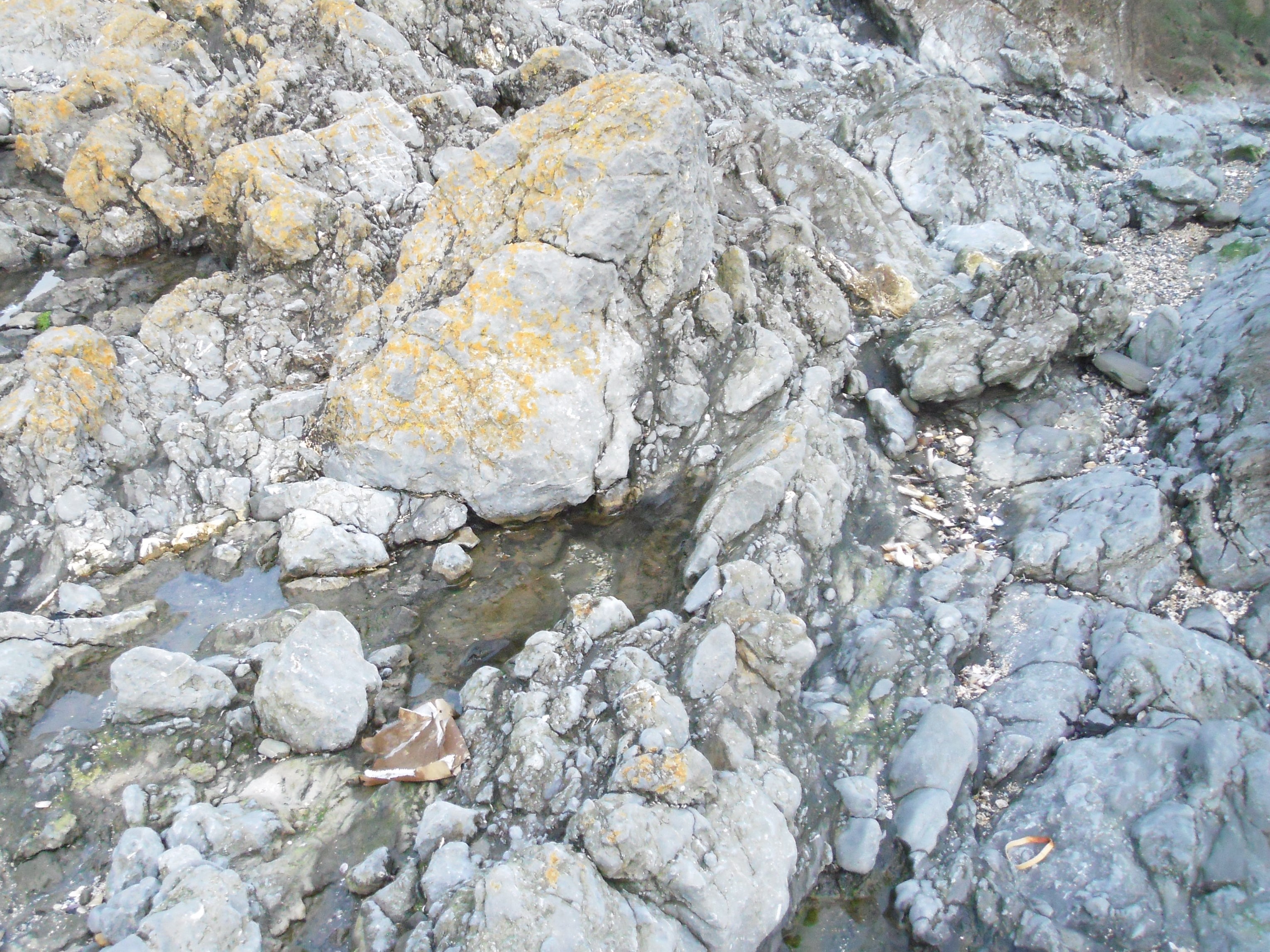 Larger lichen covered blocks which have fallen down into a fine rock matrix